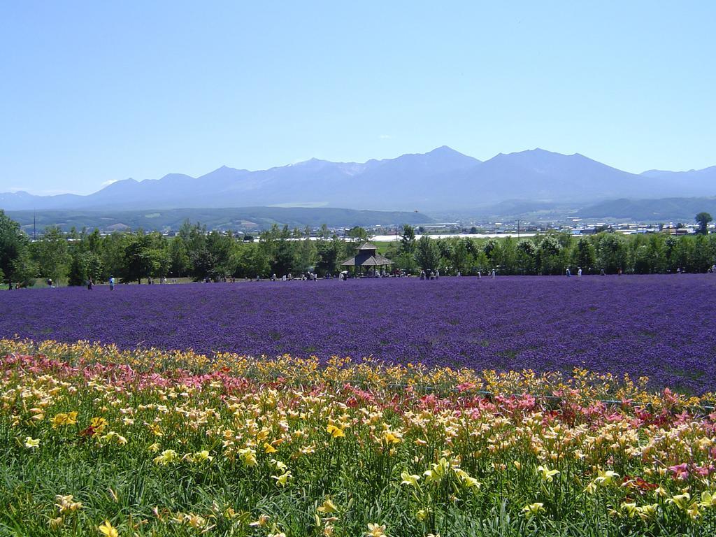 Furano Prince Hotel Eksteriør billede